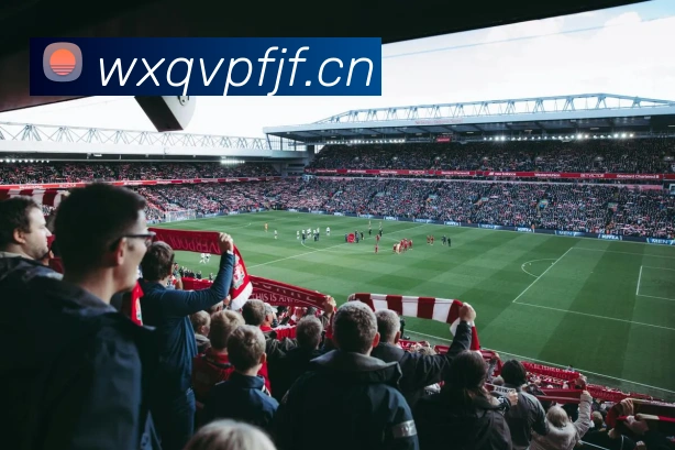 完美体育官网服务体系